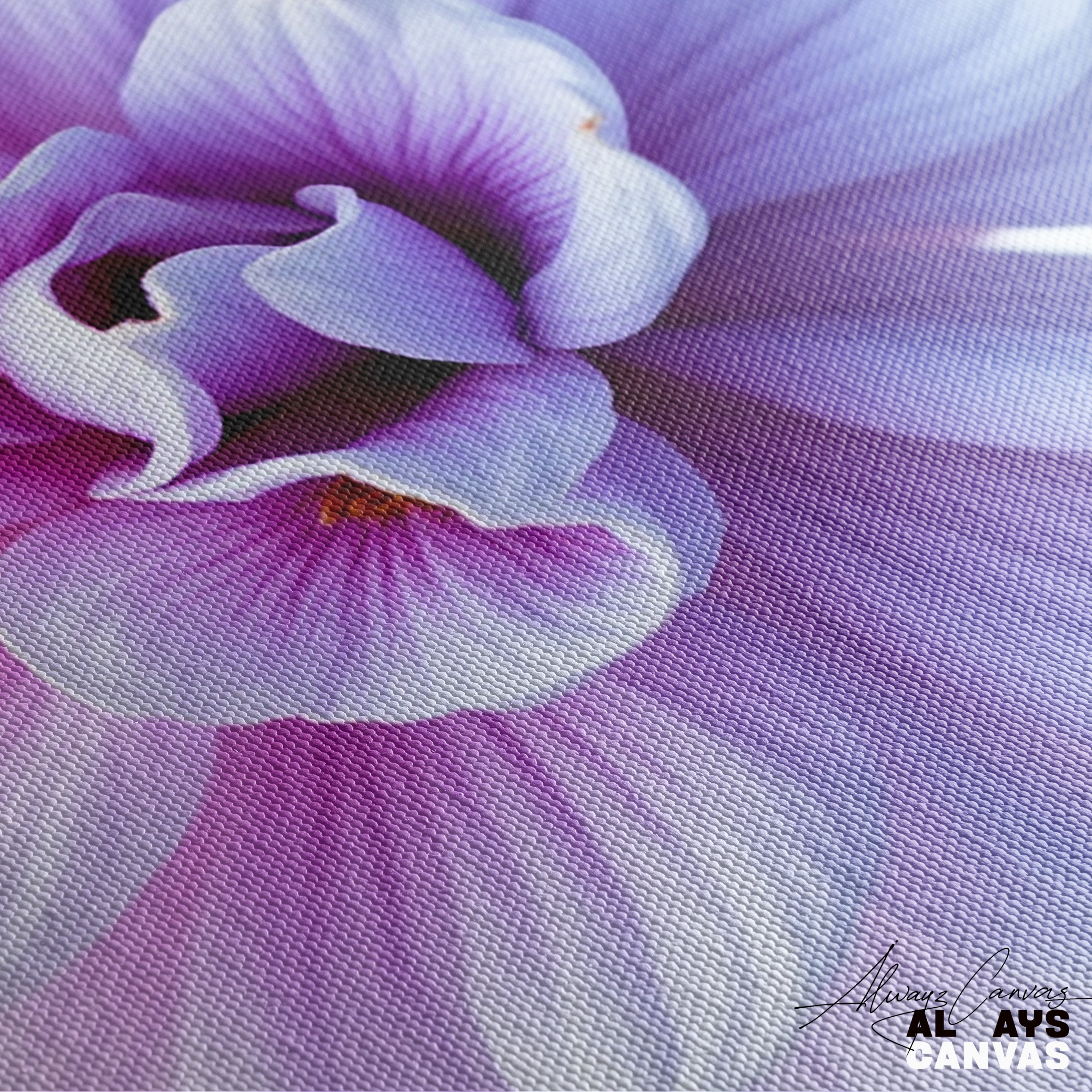 Pastel Petal: Ethereal Bloom Canvas